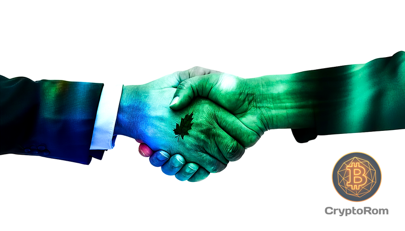 🤝 Maple и Aave объединяют традиционные финансы с DeFi