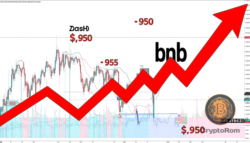 📉 BNB падает ниже $950 на фоне усиления распродажи, рост монет конфиденциальности