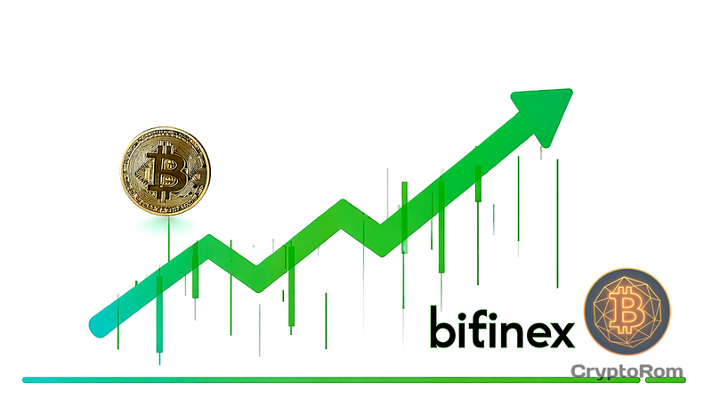 📈 Длинные позиции на Bitcoin на Bitfinex выросли на 40% за три месяца