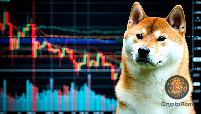 📈 Shiba Inu демонстрирует рост, вызывая беспокойство у медведей
