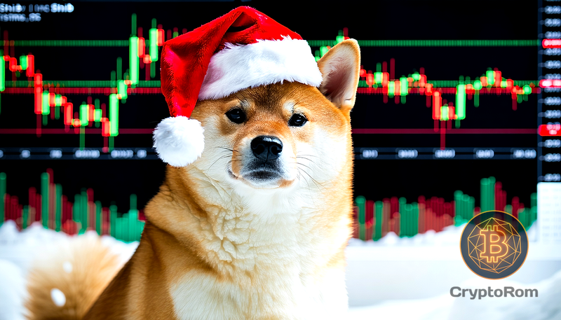 🐶 Shiba Inu: редкие ликвидации на $0