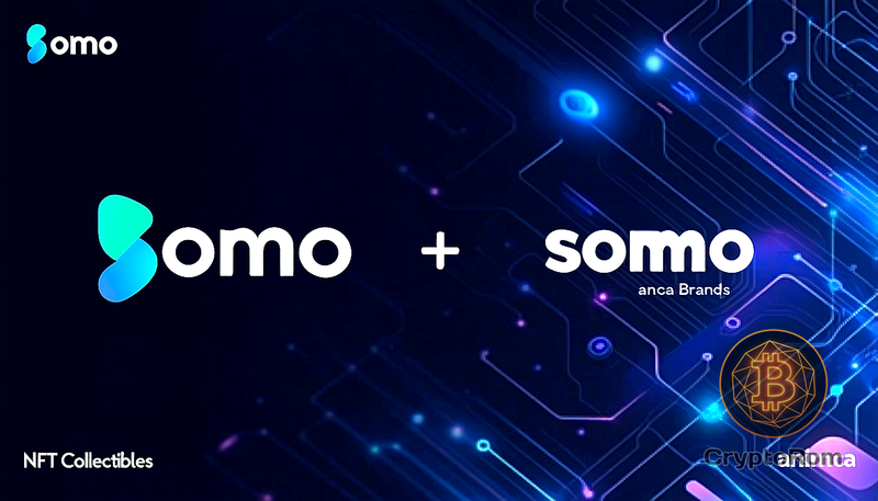 🖼️ Animoca покупает Somo на фоне оживления рынка NFT