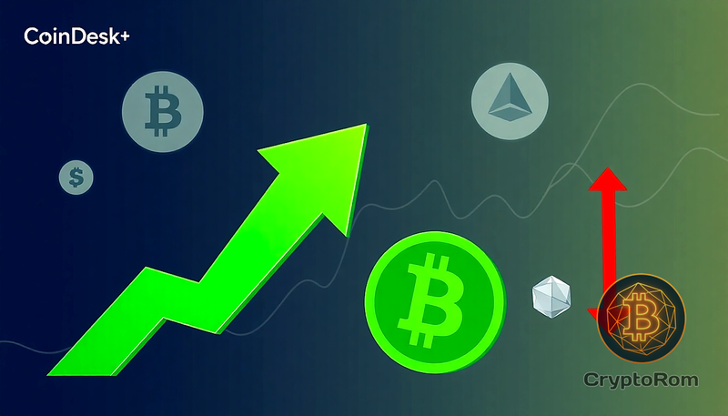 📈 Обновление CoinDesk 20: Bitcoin Cash вырос на 1.1%