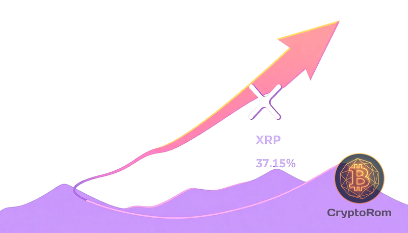 📈 Аналитик прогнозирует рост доли XRP до 31% на крипторынке