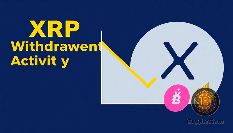 📉 Активность вывода XRP достигла максимума с июня 2024 года на Binance