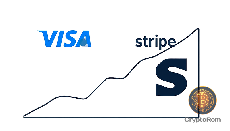 📉 Спрос на стейблкоины снижается на фоне развития Visa и Stripe