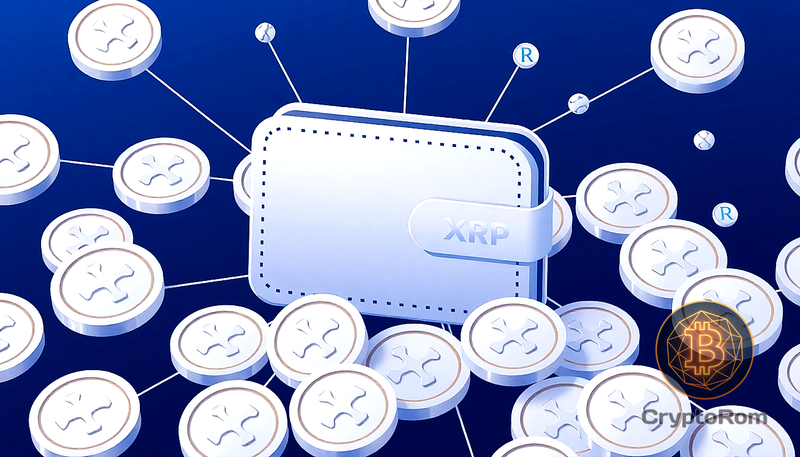 💼 Лидирующие кошельки XRP демонстрируют значительные объемы