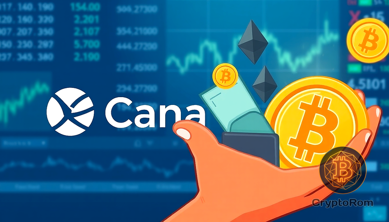 💸 Canaan рассматривает выкуп акций с использованием криптовалюты