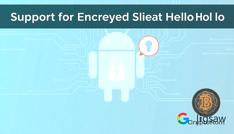 🔒 Поддержка Encrypted Client Hello в Android 17