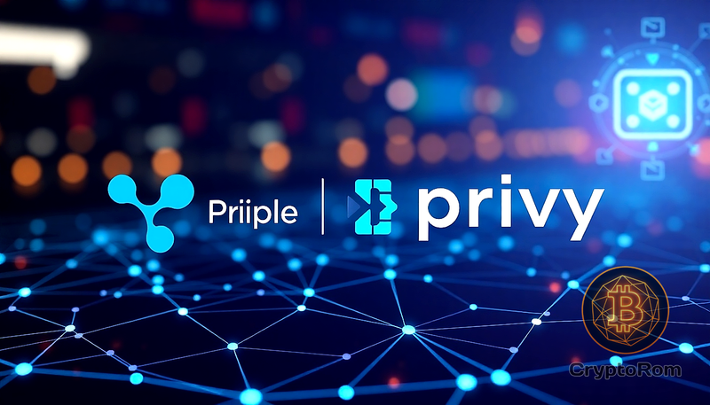 💡 Ripple и Privy: сотрудничество для расширения возможностей XRP Ledger